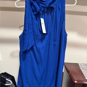 Ann Taylor Vibrant Blue Top